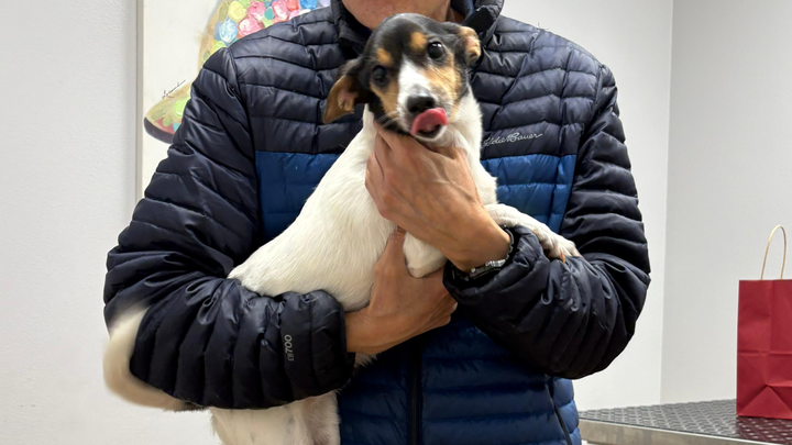 Donate to Emma's Emergency Vet Expenses campaign photo, 1 of 3