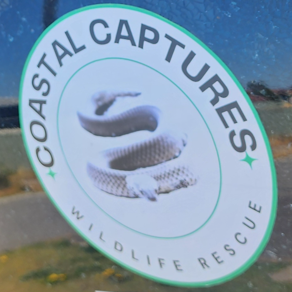Funds needed to repair wildlife resuce vehicle