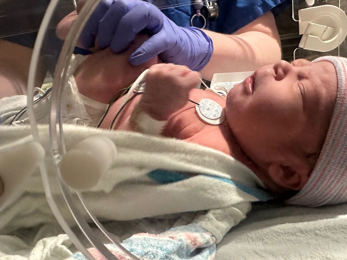 Help Support the McQueens Baby’s Heart Journey campaign photo, 1 of 4