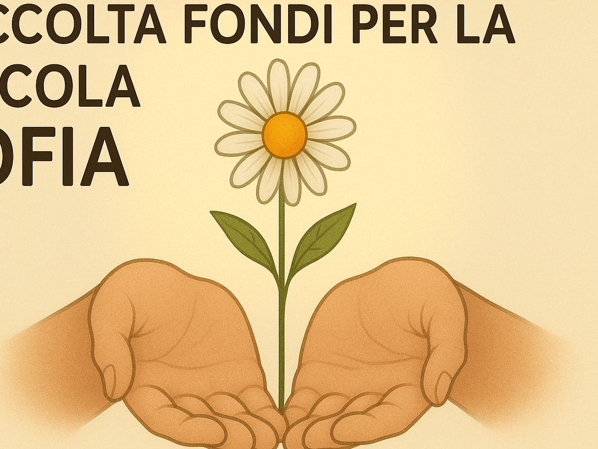 Fundraiser’s main image