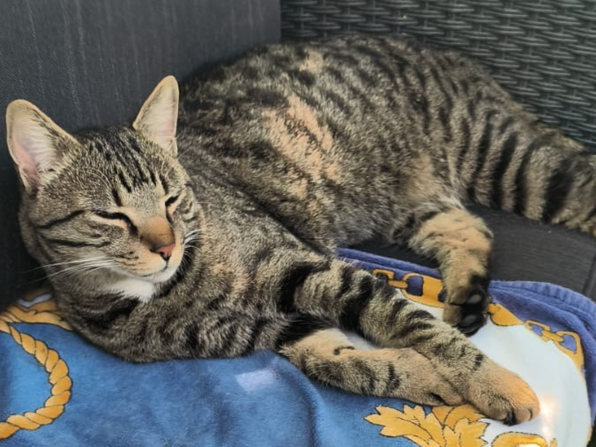 Fundraiser’s main image