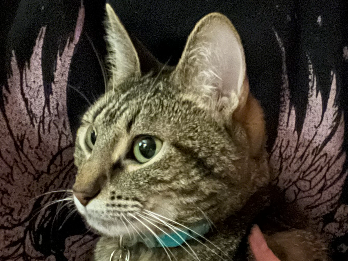 Fundraiser’s main image