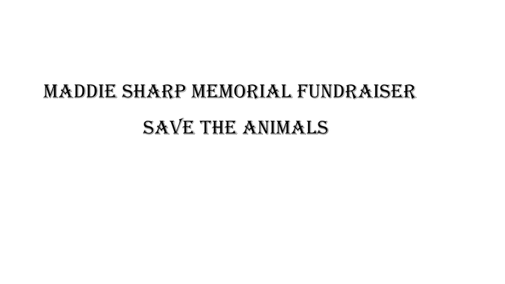 Main fundraiser photo