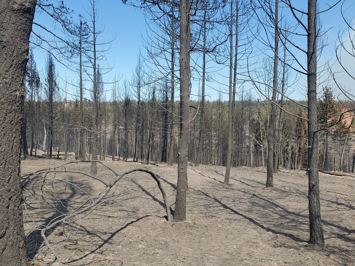Fundraiser’s main image