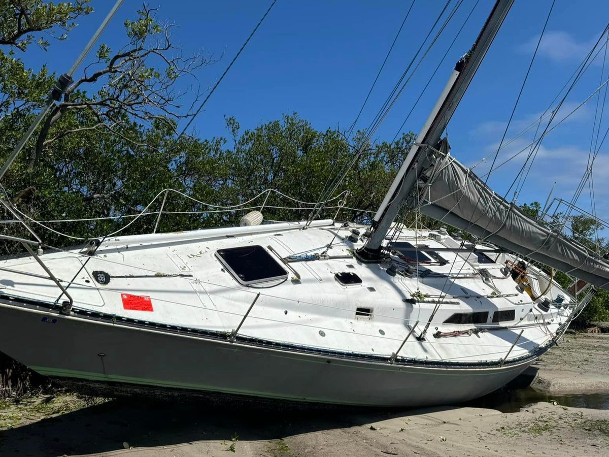 Fundraiser’s main image