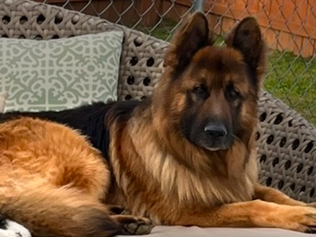 Fundraiser’s main image