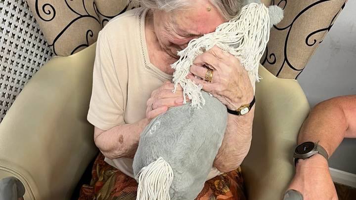 Help us buy Crafty Ponies to give to vulnerable local people campaign photo, 1 of 5