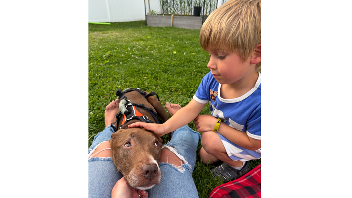 Help Addie Walk Again, Emergency Surgery Needed campaign photo, 1 of 6