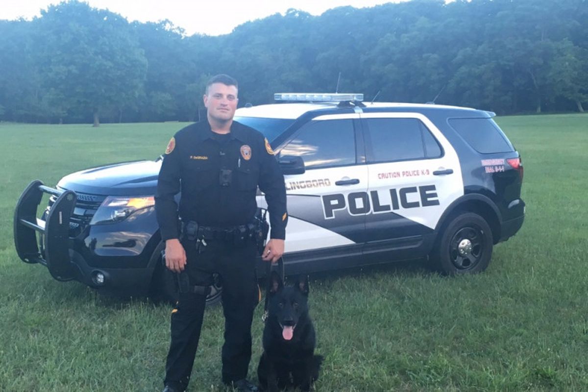 Fundraiser by Michael Lucchesi : Help Vest K-9 Niko