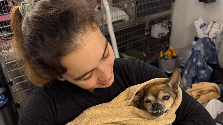 Help Anaïs rebuild after a tragic fire