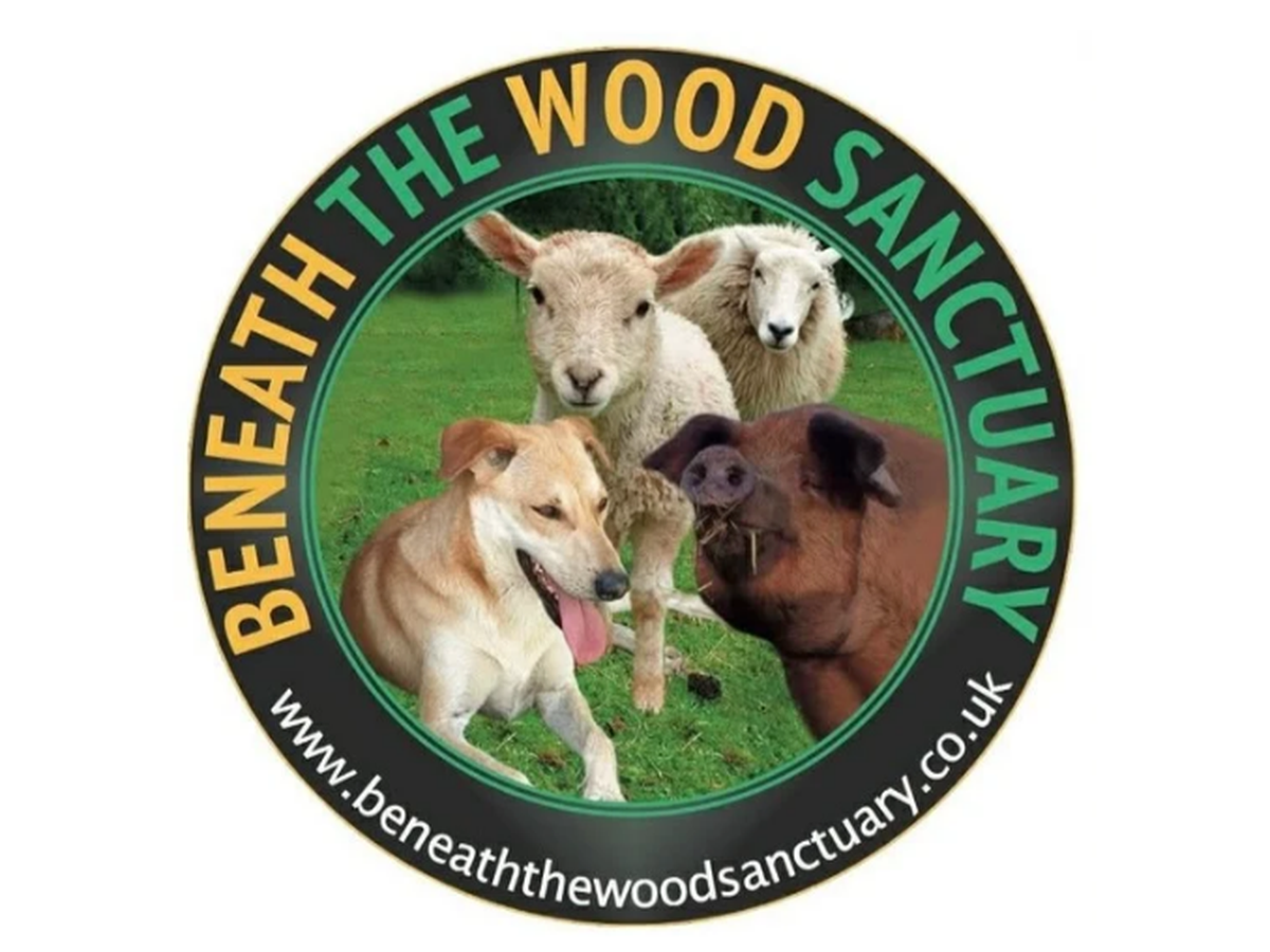Boar Barn Appeal campaign photo, 1 of 7