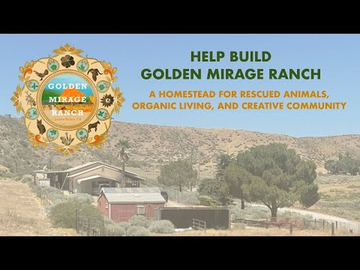 Fundraiser’s main image