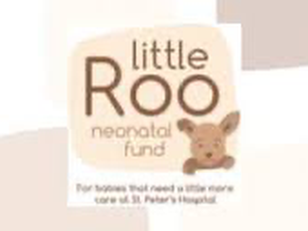 Fundraiser’s main image