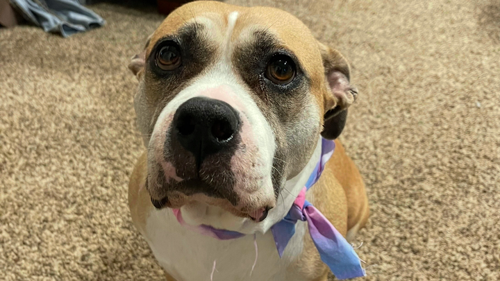 Help Khloe Get Her Christmas Miracle campaign photo, 1 of 7