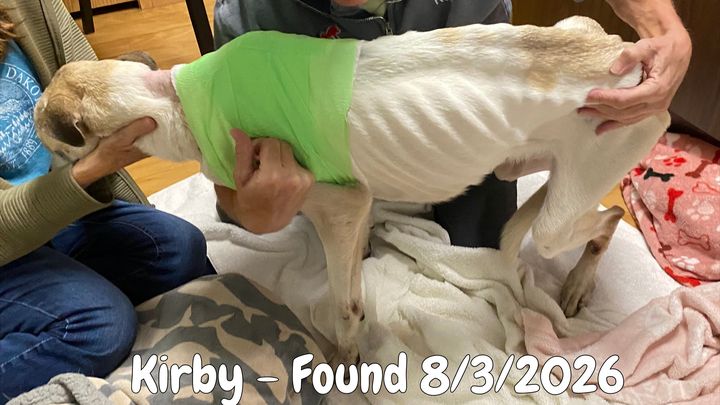 Help Kirby Fight His Way Back Home campaign photo, 1 of 8