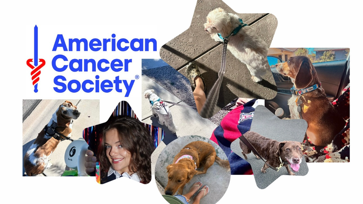 30 Mile Dog Walk for American Cancer Society campaign photo, 1 of 7