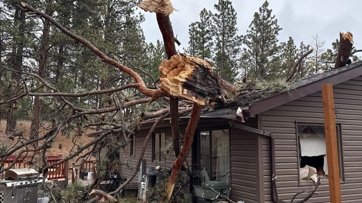 Help the Tarr Family after the wind storm of 2025 campaign photo, 1 of 6