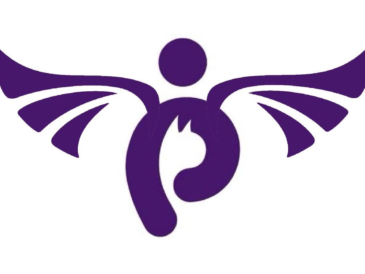Fundraiser’s main image