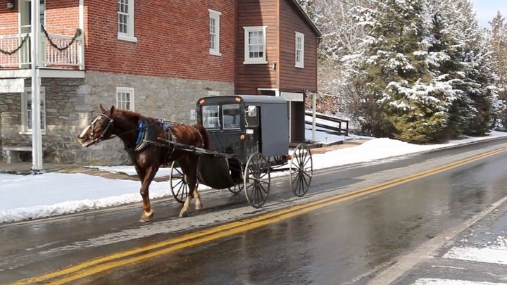 Main fundraiser photo