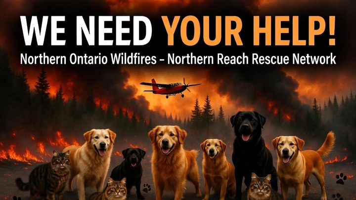 Help Northern Reach Rescue Network Support Wildfire Evacuees campaign photo, 1 of 7