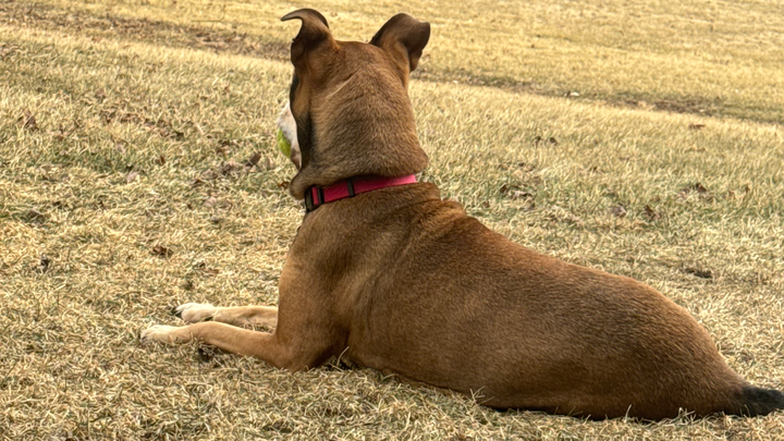 Help Mya Get the Care She Needs campaign photo, 1 of 8