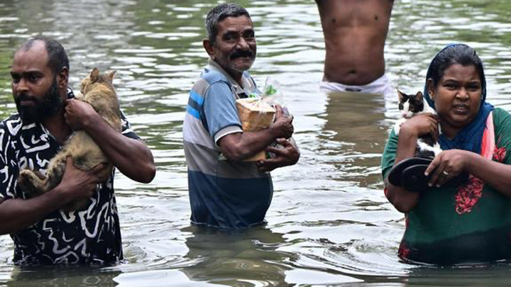 Stand With Sri Lanka: Emergency Flood Relief campaign photo, 1 of 3