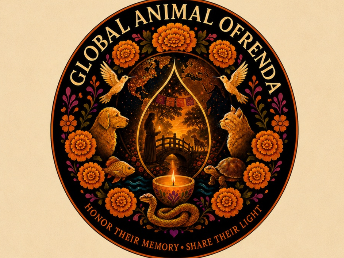 Fundraiser’s main image