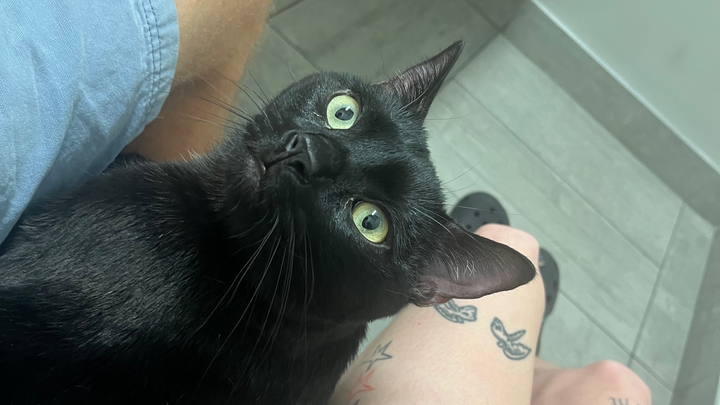 Help Kel Cover Dooter's Vet Bill campaign photo, 1 of 3