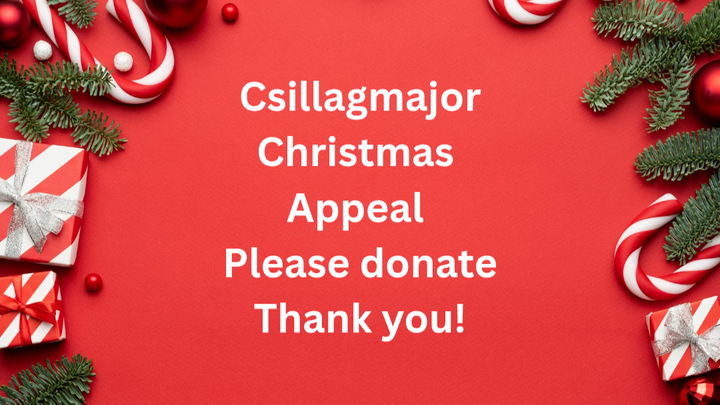 Csillagmajor Christmas support campaign photo, 1 of 5