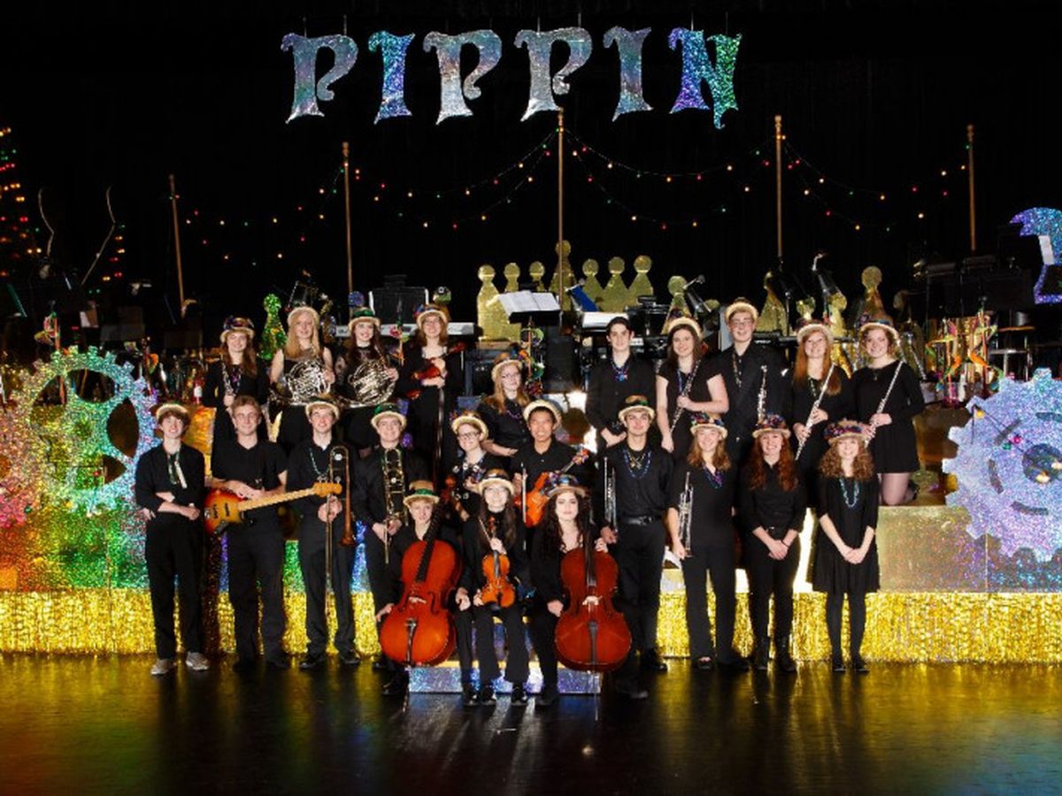 Musical Endeavors Maple Grove Music campaign photo, 1 of 3