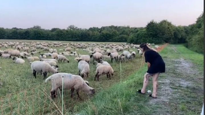Hoofdafbeelding inzamelingsactie