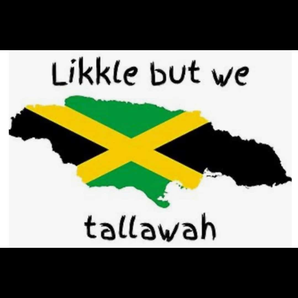 HURRICANE MELISSA EMERGENCY RELIEF HELP 