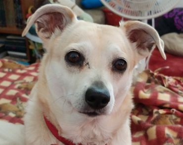 Purplefrog289  aka Alisha J Whaley