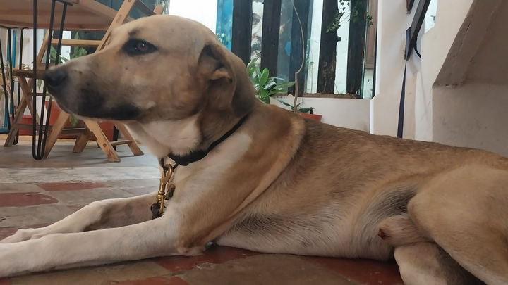 Main fundraiser photo