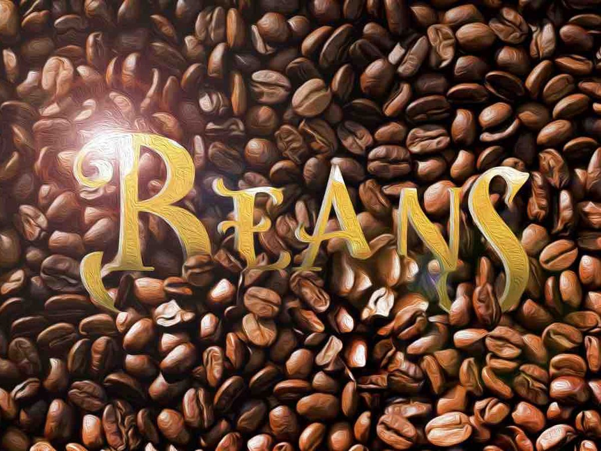 Fundraiser’s main image