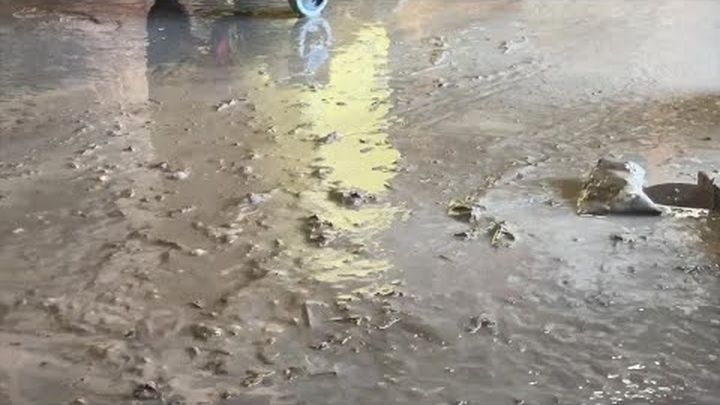 Help 25-Yr Local Business Owner Rebuild After Flood video thumbnail, 1 of 7
