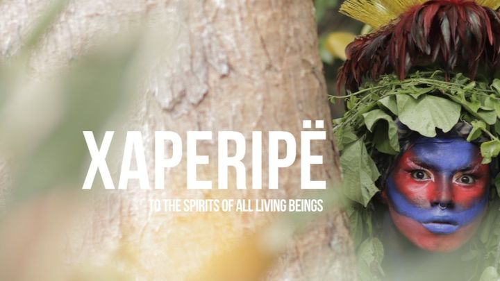 Hauptbild des Spendenaufrufs