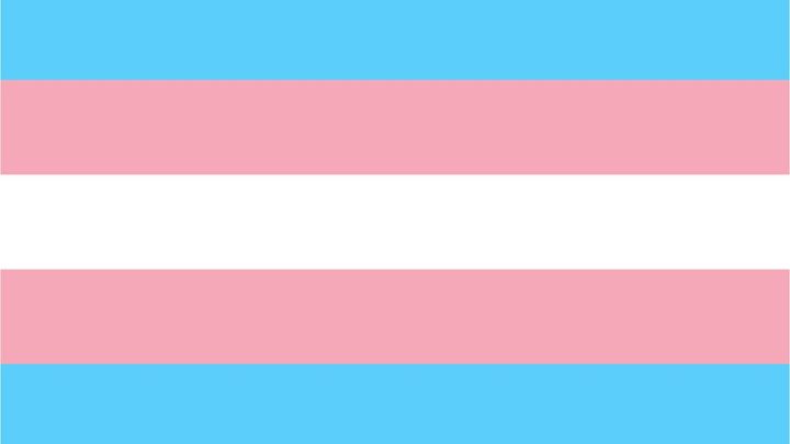 Help a Desi Trans Youth Moveout & Transition campaign photo, 1 of 3