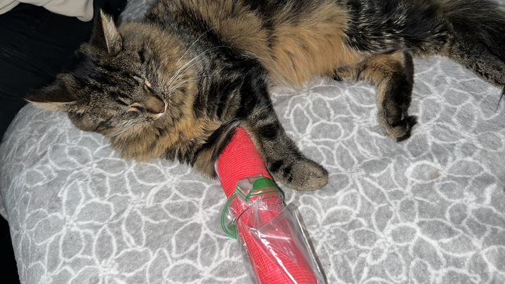 Help Lolo Get His Surgery campaign photo, 1 of 3