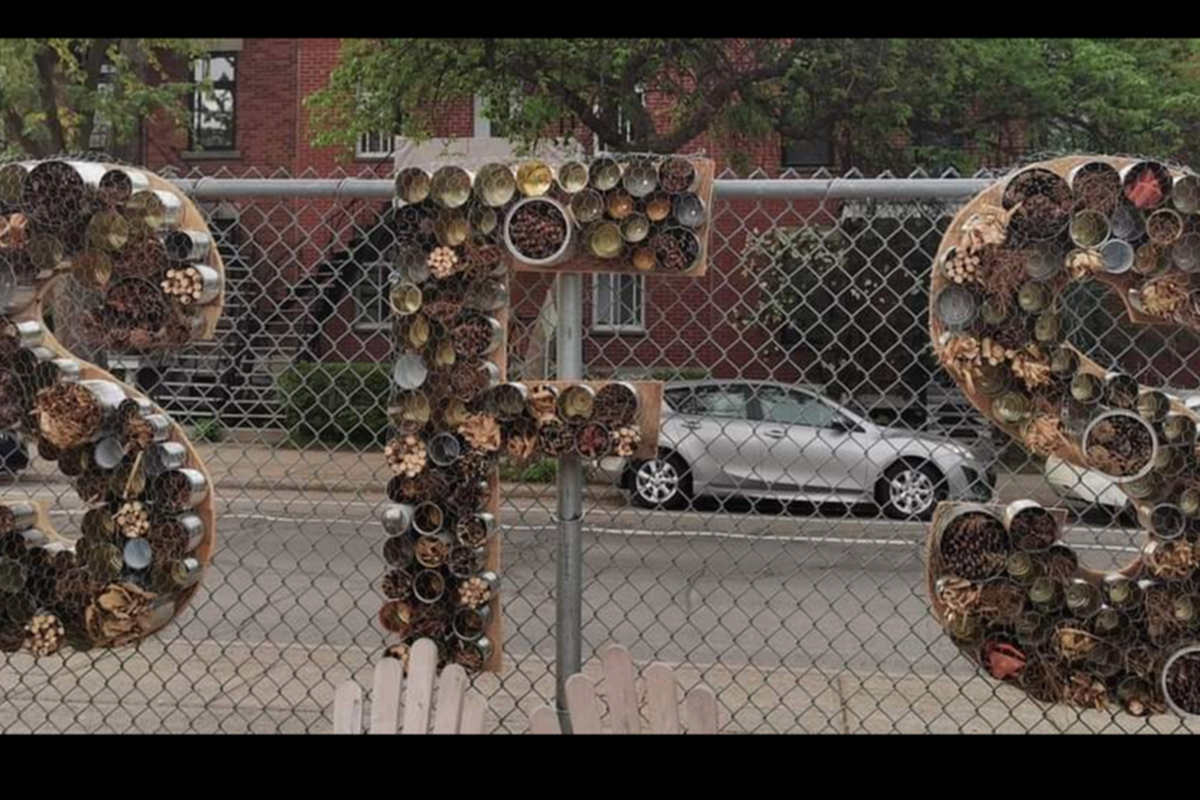 Saint francois solano (83) foto