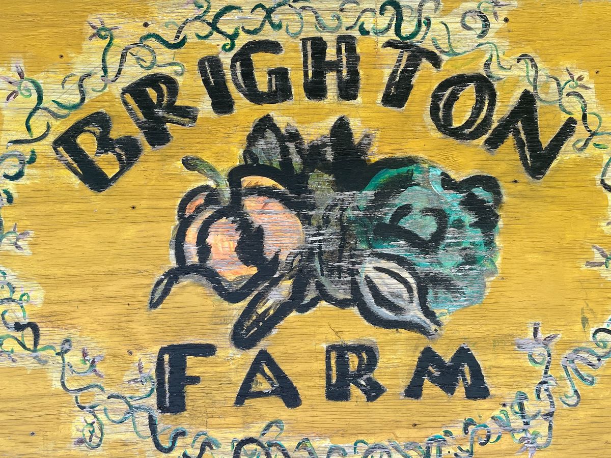 Fundraiser’s main image
