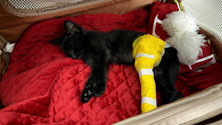 Help Esmeralda on her healing process campaign photo, 1 of 8