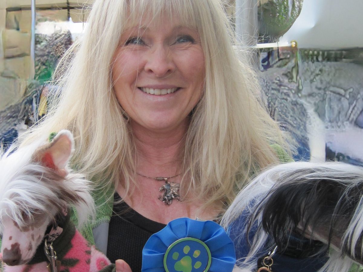Fundraiser’s main image