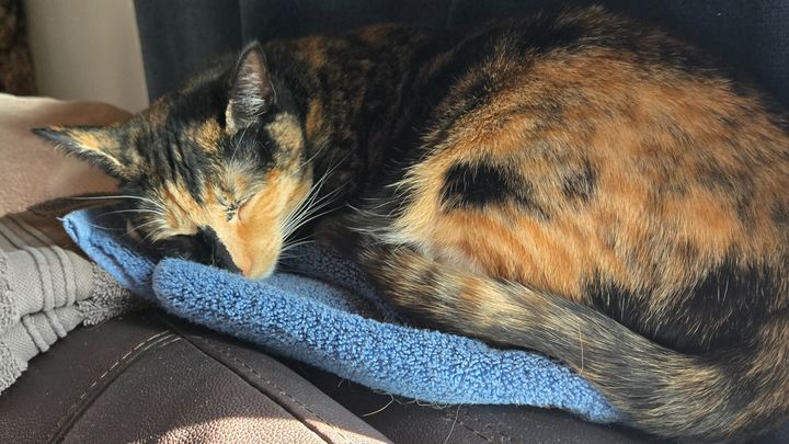 Urgent Help Needed for Bob and Sally campaign photo, 1 of 4