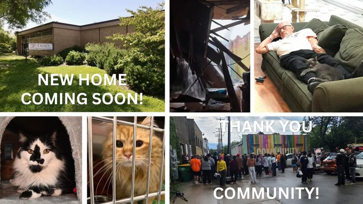Help Safe Haven Pet Sanctuary Recover campaign photo, 1 of 8