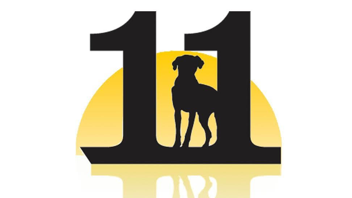 Holiday Cheer for EHR Kennel Dogs campaign photo, 1 of 6