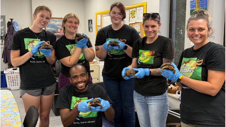 Dino Buddies Eastern box turtle rehab and release campaign photo, 1 of 6