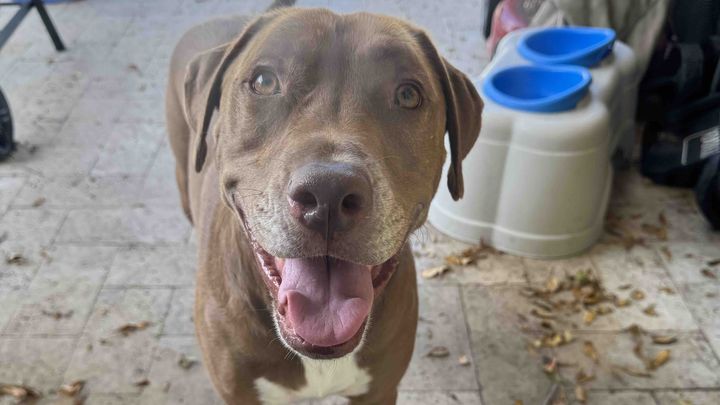 Help Nicole Save Jeter's Young Life campaign photo, 1 of 3