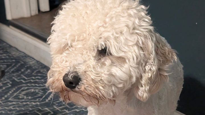 Help Jaxson Get the Care He Deserves campaign photo, 1 of 3