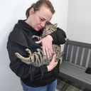 Profile photo of Wendy Scott
